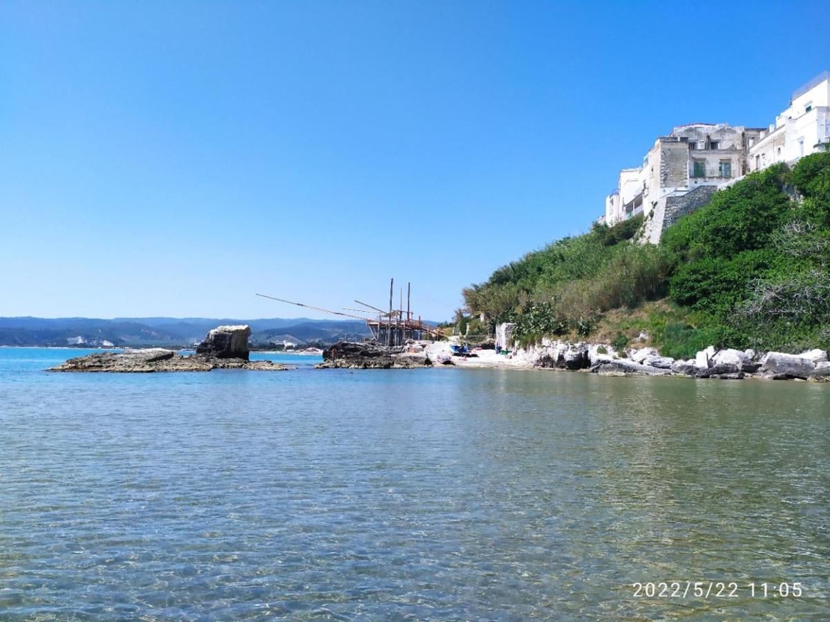 فيلا Casina Viestana فيستَ المظهر الخارجي الصورة